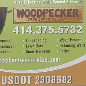woodpecker tree services