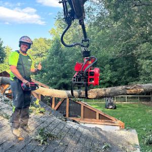 Branson's Tree Service