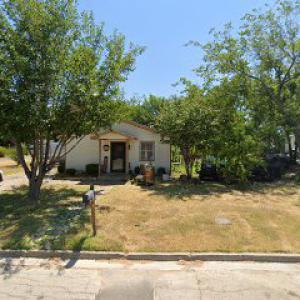 For The Love Of Trees