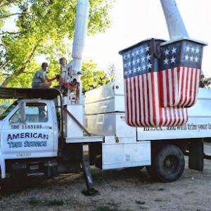 American Tree & Shrub