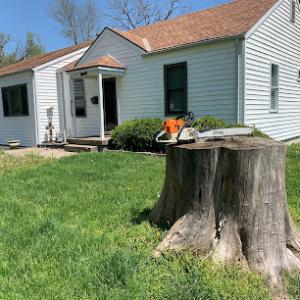 Johnson County Stump Removal