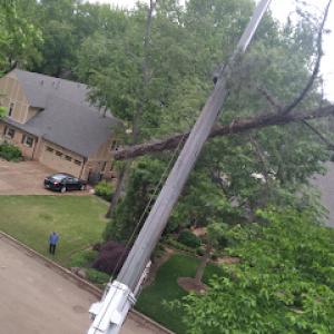 Glen’s Professional Tree Service
