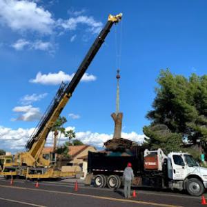 ArborCraft Tree Service Phoenix