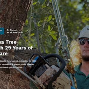B&C Tree Services