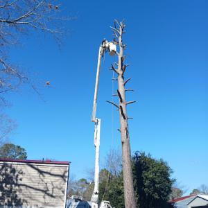 One Two Tree Service