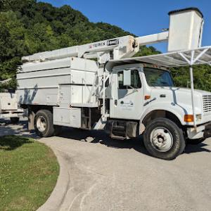 Affordable Tree Service & Excavation