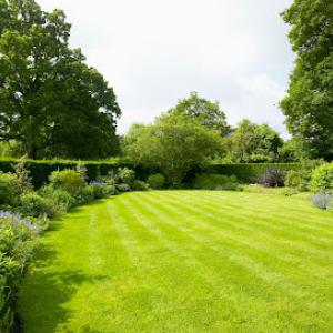 Watson Turf Solutions