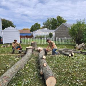 Ridgeview Tree Service