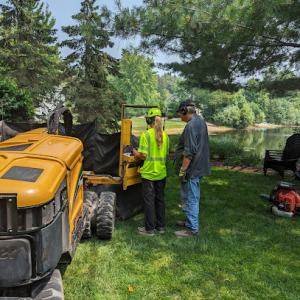 Old Growth Tree Services