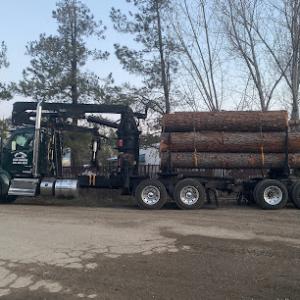 All Phase Land Clearing