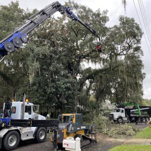 ArborVation Tree Care & Land Management