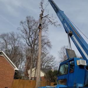 JR Tree Service & Landscaping