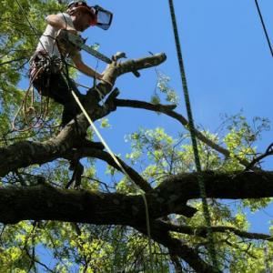 Gogarty Tree Service