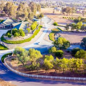Dominguez Tree Service