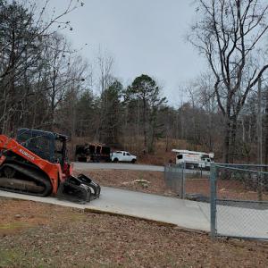Sandy Flat Tree service