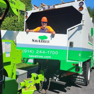 SavATree - Tree Service & Lawn Care
