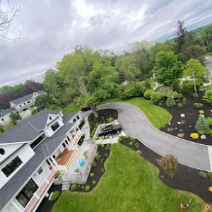 Best Tree Care Westchester