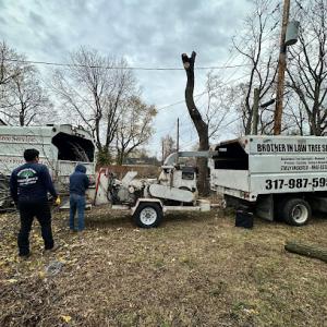 Brother in Law Tree Service
