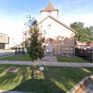 Tree Care New Orleans