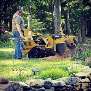 STUMP GRUMP Stump Grinding & Landscape Services