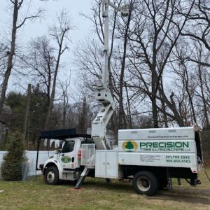 Precision Tree & Landscape