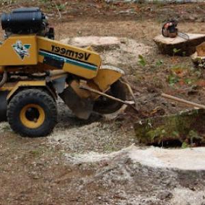 Ross & sons stump grinding