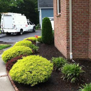 RPM Landscape Contractor