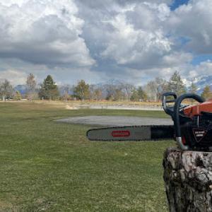 Joe's Stump Grinding