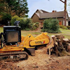 Ground Zero Stump Grinding