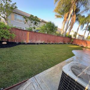 T&S Tree Service & Landscaping