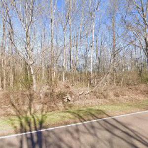 Johnsons Tree Services