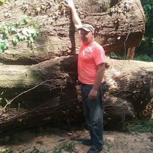 Monkey Business Tree Service