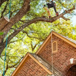 Poseidon Valley Tree Service