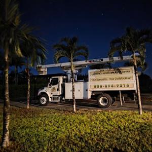 Ashton's Landscape & Tree Service