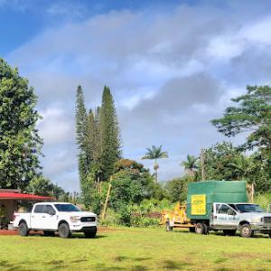 East Side Tree Services