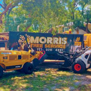 Morris Tree Service