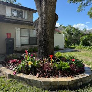 Oaks Lawn & Tree Service