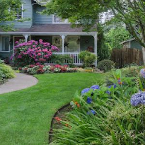 Cedar Hill Property Maintenance