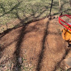 Southern Roots Stump Grinding