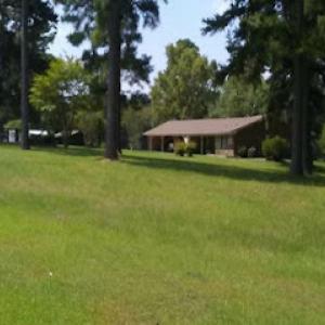 Tree & Lawn Care Connection