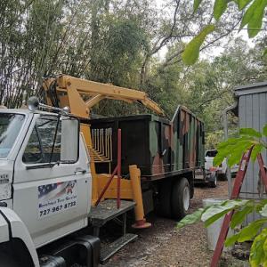 Beechnut Tree Service