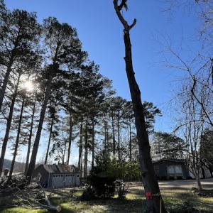 ILS (Innovative Land Solutions)