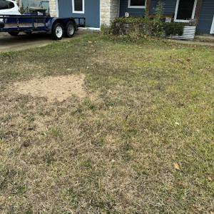 jaramillo tree service