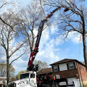 Ramalho Tree Service