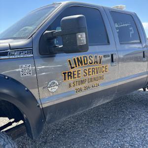 Lindsay tree service