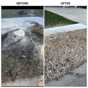 Stump Pros — Kansas City Stump Grinding