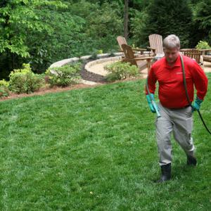 Turf Masters Lawn Care of Jackson