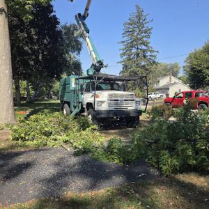 B&T Tree Service