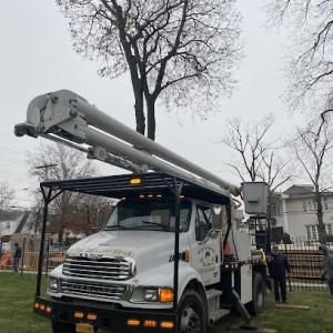 New York Tree & Lawn Service