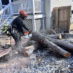 Salvation Land Management